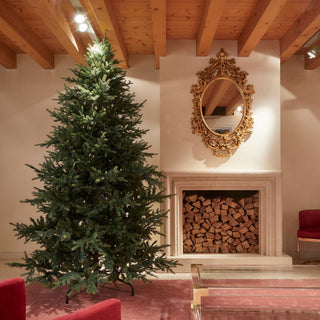 EDG Enzo De Gasperi Luxus-Weihnachtsbaum aus Kiefer, 300 cm, natur, ohne LEDs