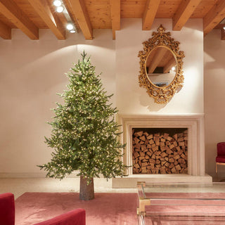 EDG Enzo de Gasperi Árbol de Navidad de pino de lujo 180 cm con 3000 mini leds D136