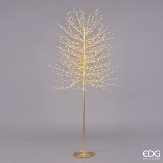 EDG Enzo De Gasperi Buchenbaum mit 1300 Mini-LED-Sockel H210 cm Schwarz