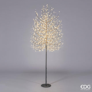 EDG Enzo De Gasperi Albero Faggio con base 1300 mini led H210 cm Nero