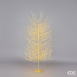 EDG Enzo De Gasperi Beech Tree with 2000 mini LED base H180 cm Gold