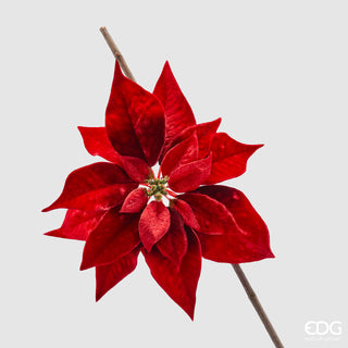 EDG Enzo De Gasperi Stella di Natale con con Clip D23 cm