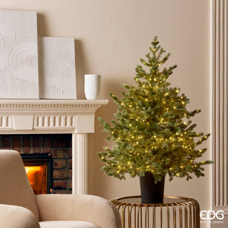 EDG Enzo De Gasperi Silver Pine with 480 LEDs H120 cm