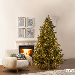 EDG Enzo De Gasperi Albero di Natale Pino Argentato H240 cm con 5000 Mini Led