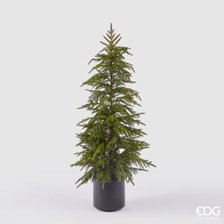 EDG Enzo De Gasperi Pino Cryptomeria in Vaso H120 cm Real Touch