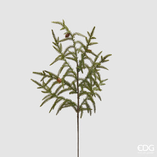 EDG Enzo De Gasperi Ramo di Criptomeria con Pigna H68 cm