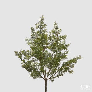 EDG Enzo De Gasperi Ramo di Thuja H50 cm