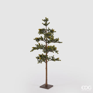 EDG Enzo De Gasperi Pino Con Pigne e Base H138 cm