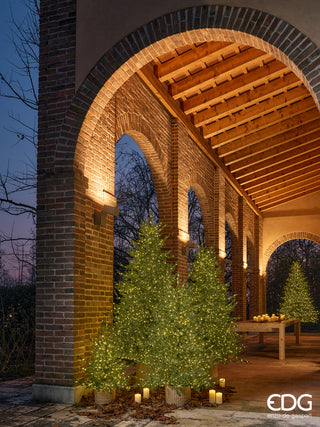 EDG Enzo De Gasperi Albero di Natale Pino Lucciole 270 cm con 5000 Rice Led