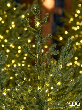 EDG Enzo De Gasperi Albero di Natale Pino Lucciole 210 cm con 3100 Rice Led