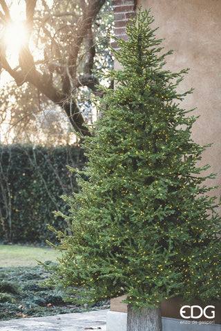 EDG Enzo De Gasperi Albero di Natale Pino Lucciole 210 cm con 3100 Rice Led