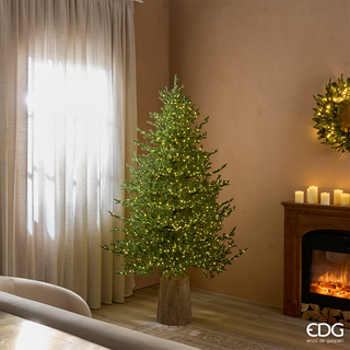 EDG Enzo De Gasperi Albero di Natale Pino Lucciole 180 cm con 2300 Rice Led