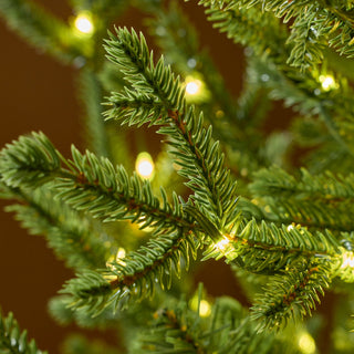 EDG Enzo De Gasperi Albero di Natale Pino Lucciole 180 cm con 2300 Rice Led