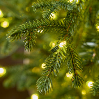 EDG Enzo De Gasperi Albero di Natale Pino Lucciole 210 cm con 3100 Rice Led