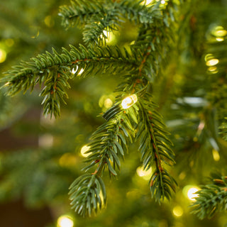 EDG Enzo De Gasperi Albero di Natale Pino Lucciole 270 cm con 5000 Rice Led