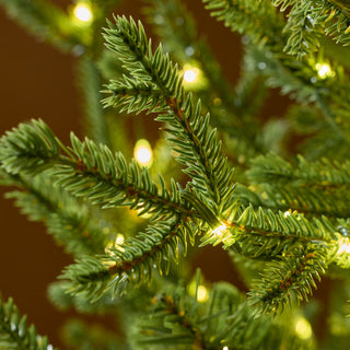 EDG Enzo De Gasperi Albero di Natale Pino Lucciole 270 cm con 5000 Rice Led