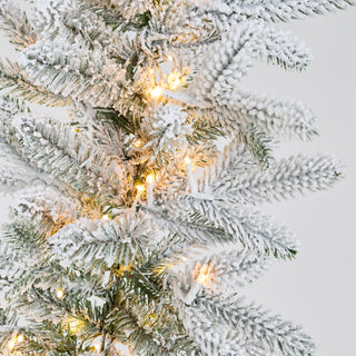 EDG Enzo De Gasperi Festone Pino Cortina Innevato con 400 Mini Led 270 cm