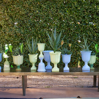 EDG Enzo De Gasperi Tulip Vase Cup with Ceramic Foot H41 cm Green