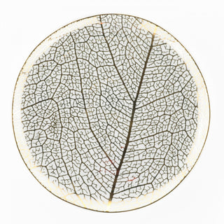 Weissestal 18-teiliges Speiseservice aus weißem Onix-Porzellan von Salvatore Izzo