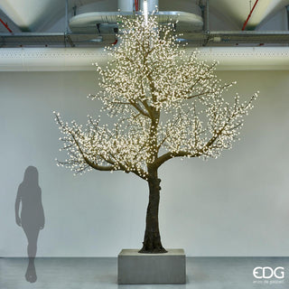 EDG Enzo De Gasperi Apple Tree in Bloom with 5200 LEDs H 4.50 mt