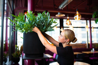 Capi Europe Groove NL Zylindervase Schwarz 44x46 cm aus recyceltem PE