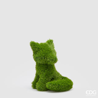 EDG Enzo de Gasperi Decoro Erba Volpe Medio H35 cm