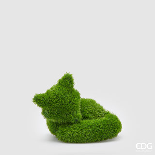 EDG Enzo de Gasperi Decoro Erba Volpe Medio H35 cm