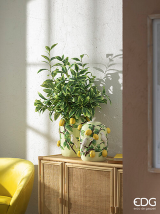 EDG Enzo de Gasperi Vaso Limoni Bombato H36 D30 cm Verde