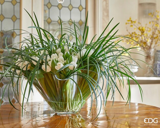 EDG Enzo De Gasperi Vaso Centrotavola Drappo in Vetro H28 D44 cm Bianco