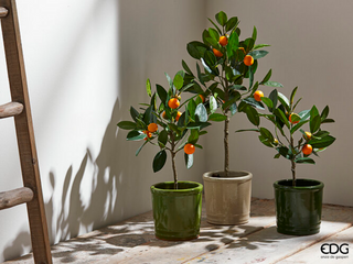 EDG Enzo De Gasperi pianta di Mandarino Artificiale con Vaso H76 cm