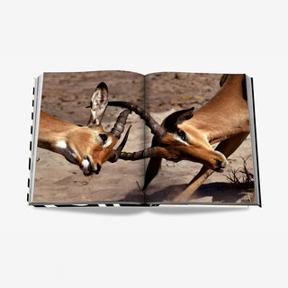 Assouline Libro The Classics Collection African Adventures: The Greatest Safari on Earth