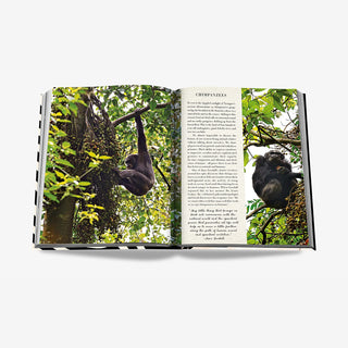 Assouline Book The Classics Collection African Adventures: The Greatest Safari on Earth