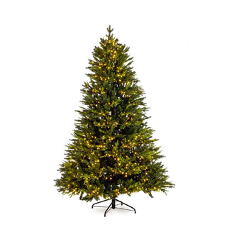 Andrea Bizzotto Christmas Tree Berkshire Pine 5436 Branches 1900 Led H210 cm
