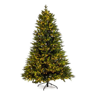 Andrea Bizzotto Christmas Tree Berkshire Pine 7456 Branches 2500 LEDs H240 cm