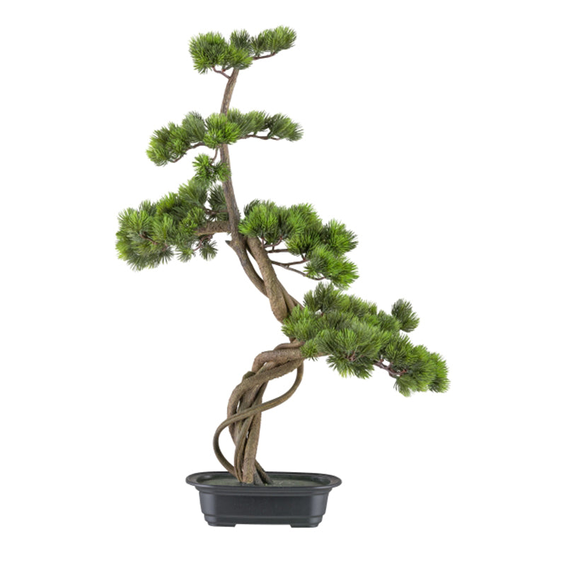 Bonsai Artificiale Pino Giapponese - 19x34 Cm, Vaso Incluso, Decorazione Casa - Foto 3