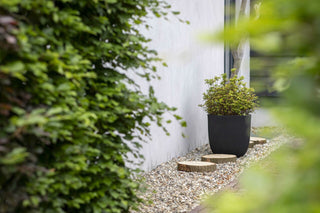 Capi Europe Ball Groove Pflanzvase, Schwarz, H35 x T34 cm, aus recyceltem PE