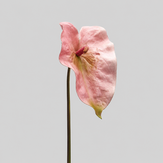 EDG Enzo De Gasperi Ramo Artificiale di Anthurium H75 cm Rosa