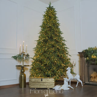 Lena's Flowers Courmayeur Weihnachtsbaum 5000 cm Mini LED H240 D160 cm + gratis Stammfuß