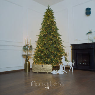 Lena's Flowers Courmayeur Weihnachtsbaum 5000 cm Mini LED H240 D160 cm + gratis Stammfuß