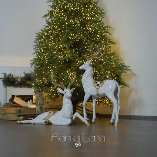 Lena's Flowers Courmayeur Weihnachtsbaum 5000 cm Mini LED H240 D160 cm + gratis Stammfuß