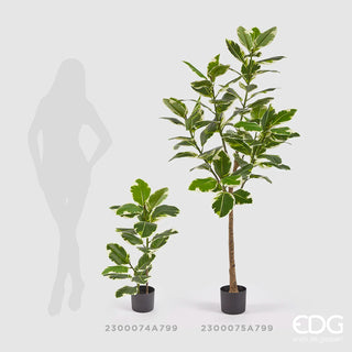 EDG Enzo De Gasperi Pianta Artificiale Ficus H85 cm