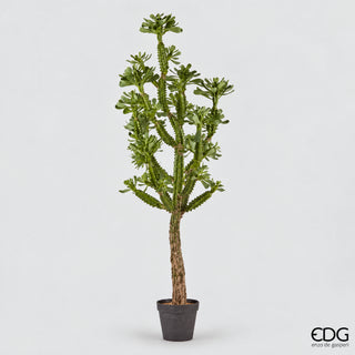 EDG Enzo De Gasperi Pianta Artificiale Cactus West con Vaso H183 Cm