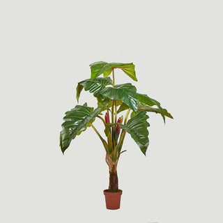 EDG Enzo De Gasperi plant with pot Alocasia 9 Leaves H 160cm