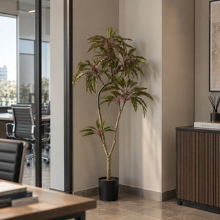 EDG Enzo De Gasperi Pianta Artificiale Dracena con Vaso H160 Cm