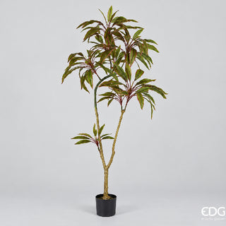 EDG Enzo De Gasperi Pianta Artificiale Dracena con Vaso H160 Cm
