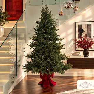 Le Gioie Pino McCallister Albero di Natale 240 cm Full PE con 5600 Rice Led