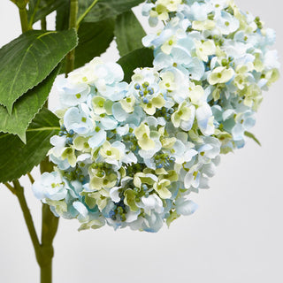 EDG Enzo De Gasperi Ramo grande de hortensias elegantes Al. 58 cm Azul claro