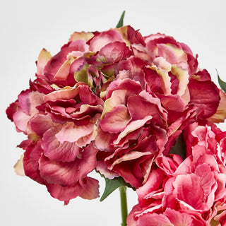 EDG Enzo De Gasperi Set of 4 Hydrangea Branches Olis Shaded Pink H 45 cm