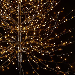 EDG Enzo De Gasperi Buchenbaum mit 1300 Mini-LEDs, Sockel, Höhe 210 cm, Weiß