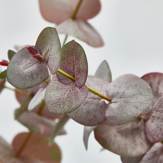 EDG Enzo De Gasperi Set 2 Rami di Eucalipto Olis H96 cm Sfumature di Rosa